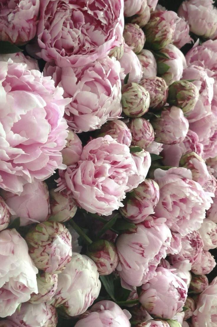 RiverStoneGlade workshop space where corporate flower arrangements are designed and prepared for business delivery